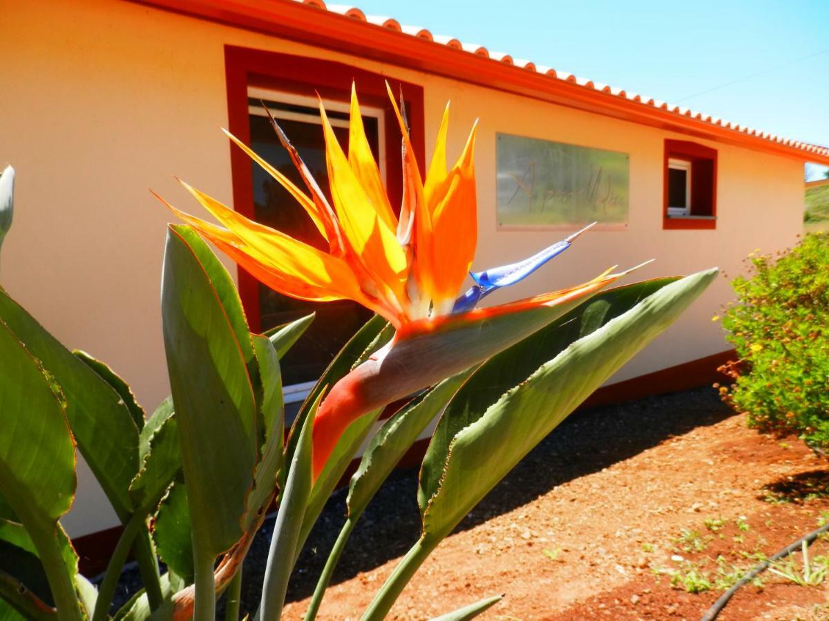Au Petit Madere Villa Prazeres Dış mekan fotoğraf